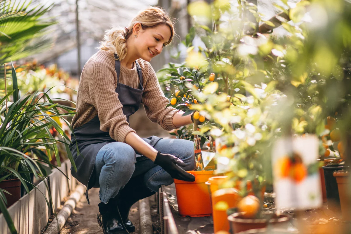 Wynajem mieszkań w Mikołajkach - Przewodnik dla Turystów i Mieszkańców