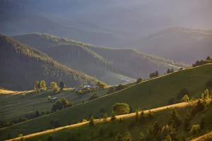 Mieszkania na sprzedaż TBS Zgierz – Co warto wiedzieć przed zakupem?